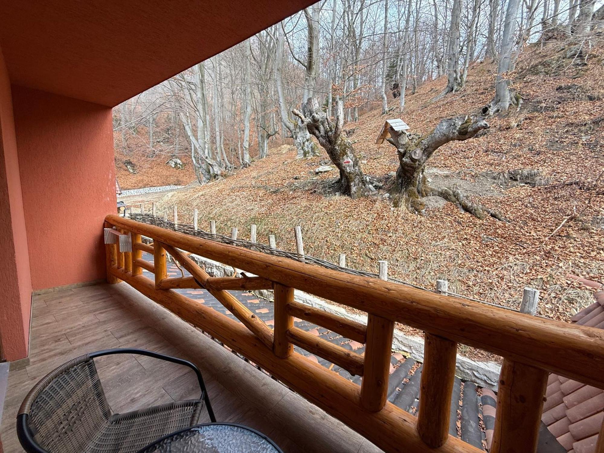 Conacul Radacinilor Hotel Petrosani