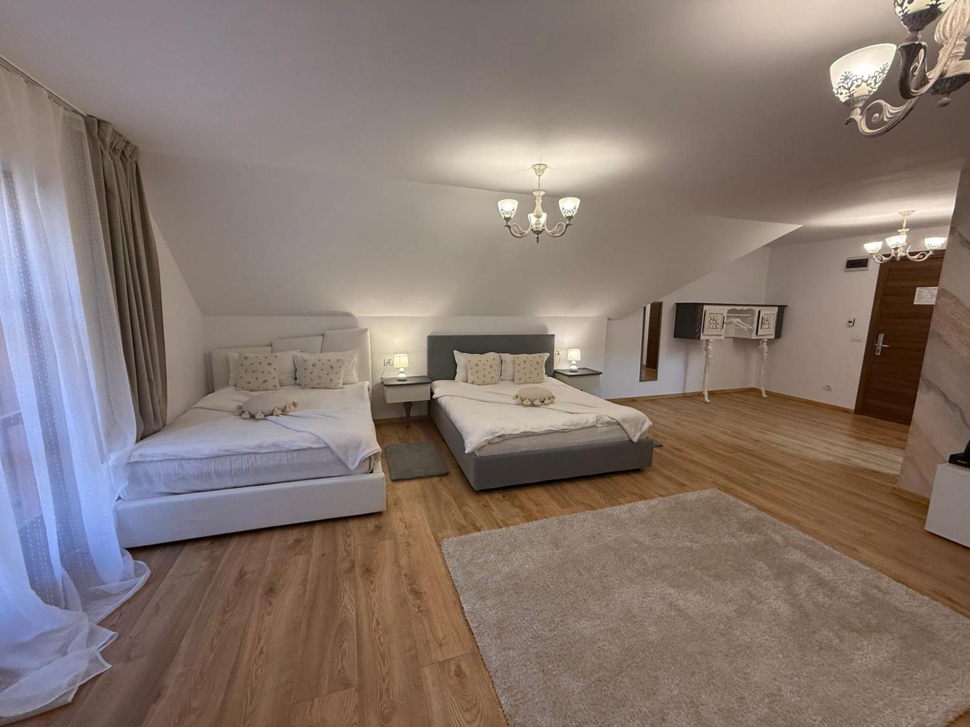 Hotel Conacul Radacinilor Petrosani
