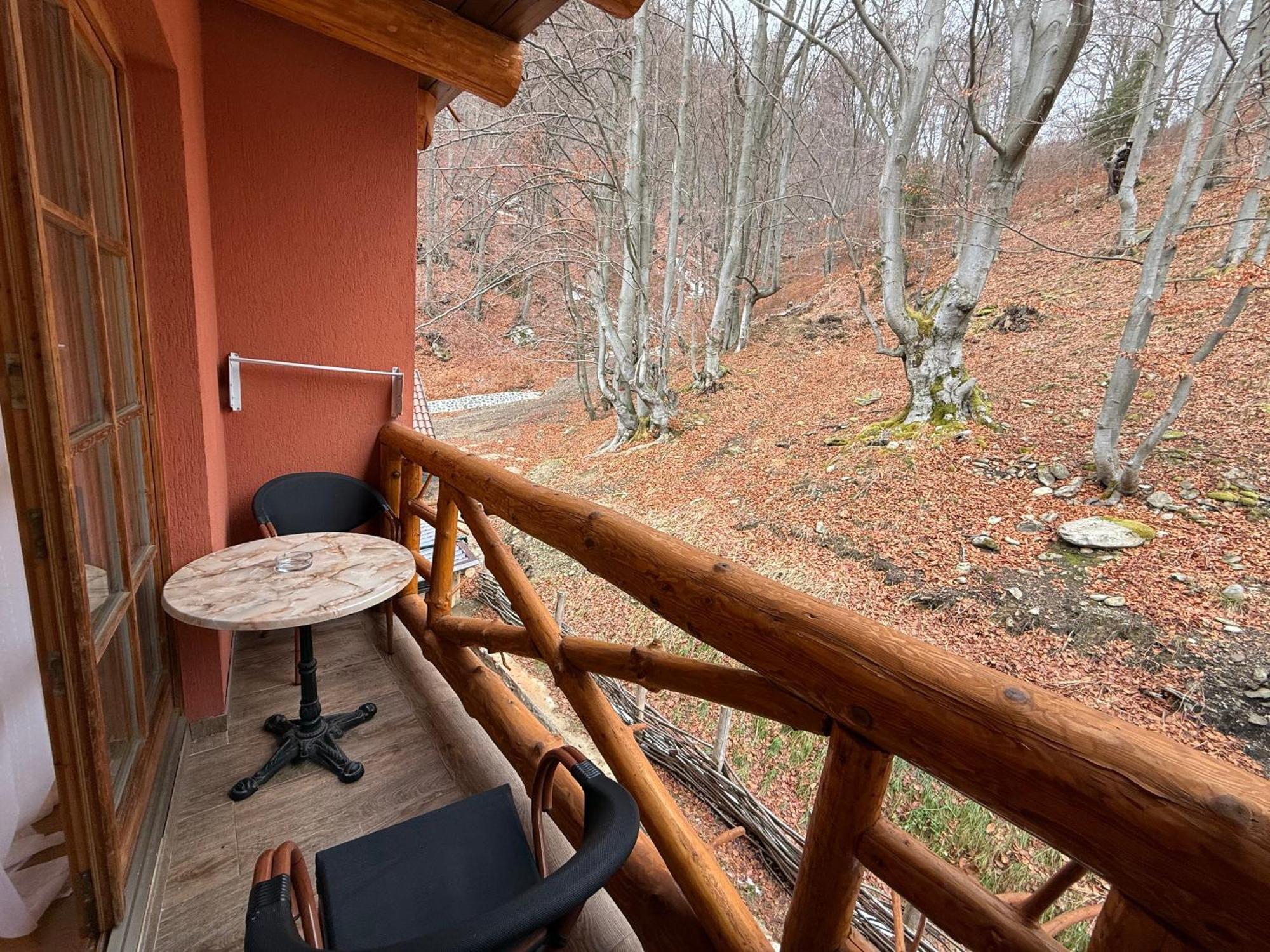 Hotel Conacul Radacinilor *