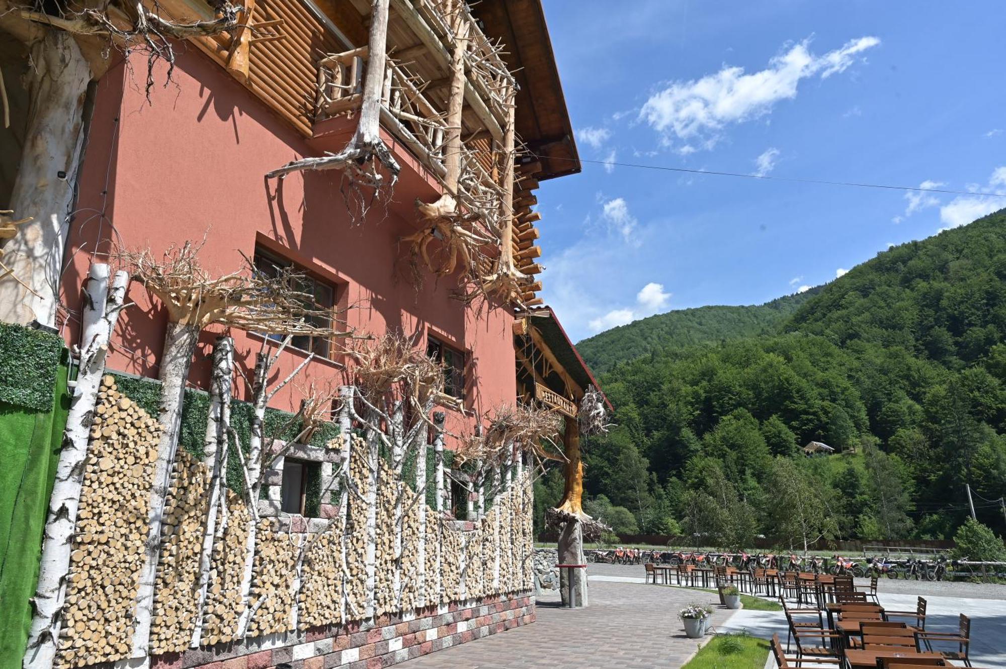 Hotel Conacul Radacinilor *