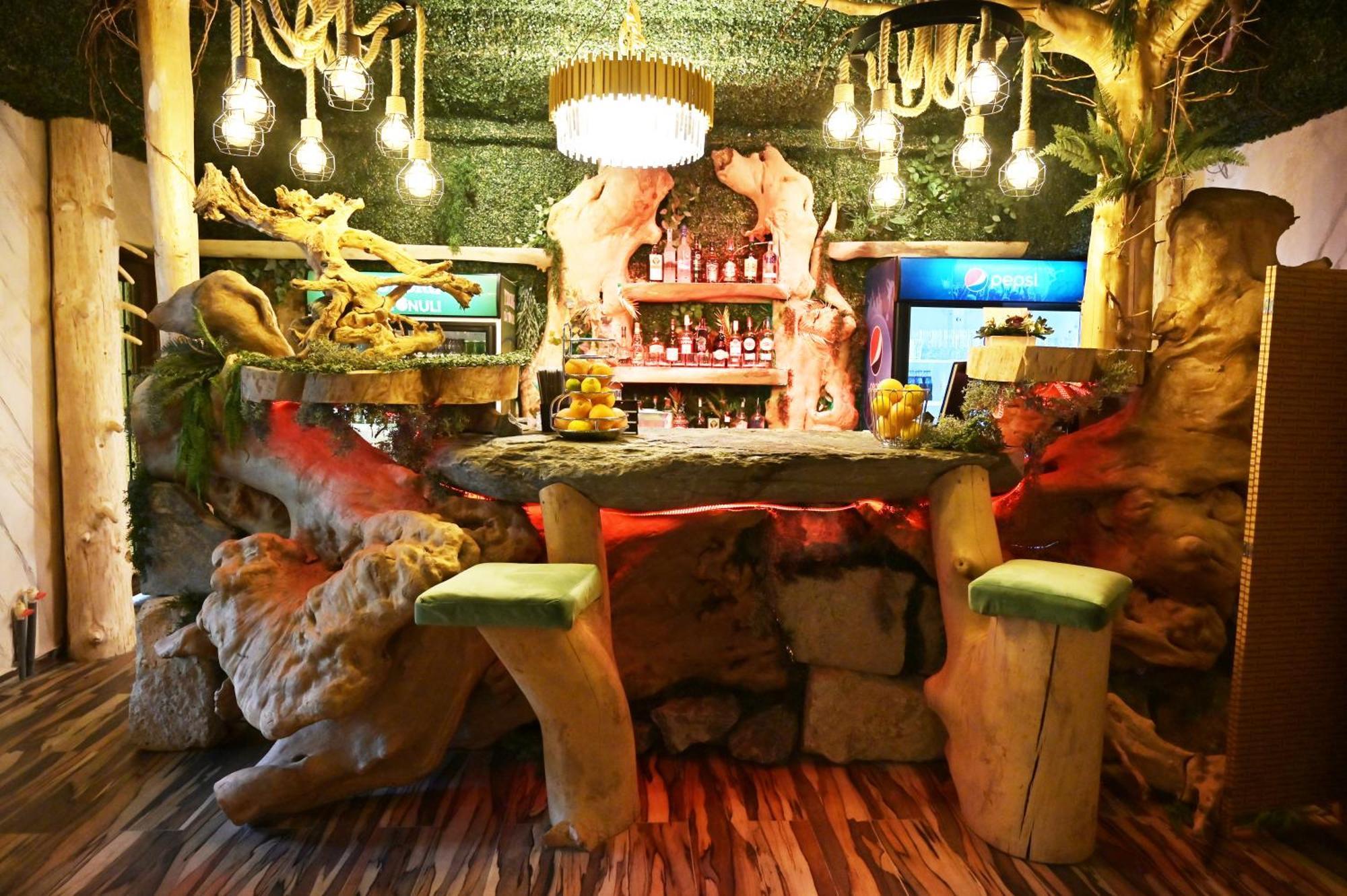 Hotel Conacul Radacinilor *